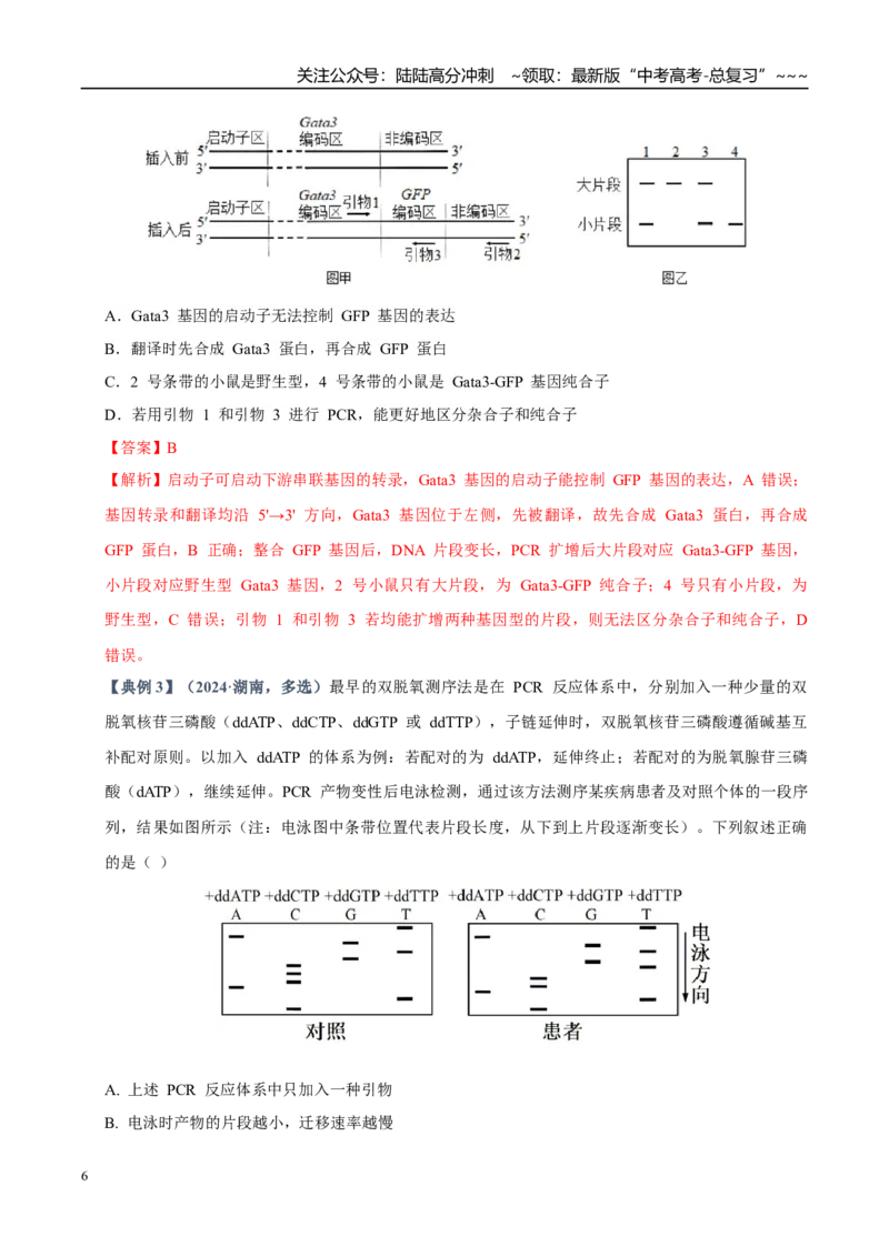 《培优专题19PCR技术和电泳（高效培优讲义）（教师版）_06-生物-高考总复习_一轮复习_2026年-生物高考一轮复习_2026年高考生物一轮复习讲义+练习+课件（新教材新高考）-G55_2026版》第6页预览