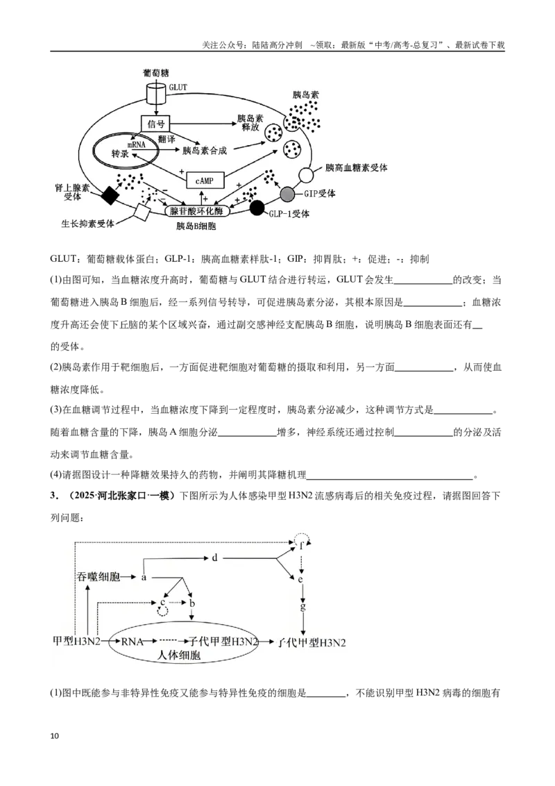 《大题03生命活动的调节（学生版）_06-生物-高考总复习_专项复习_2025年_2025年高考生物大题突破+限时集训（新高考通用）》第10页预览