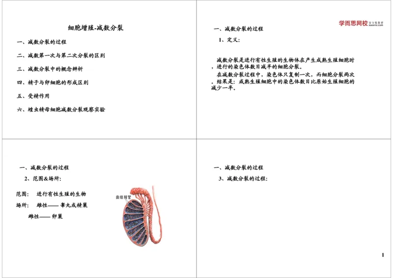 《细胞增殖-减数分裂-78d7cfeb9bfb_学而思高三全套_高三录播课程各种版本_高三一轮二轮_29709-56高考生物一轮总复习（必修+选修1、3）_第13讲：细胞增殖-减数分裂（一轮上）》第1页预览