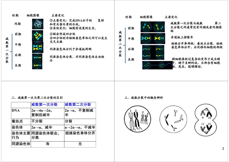 《细胞增殖-减数分裂-78d7cfeb9bfb_学而思高三全套_高三录播课程各种版本_高三一轮二轮_29709-56高考生物一轮总复习（必修+选修1、3）_第13讲：细胞增殖-减数分裂（一轮上）》第2页预览