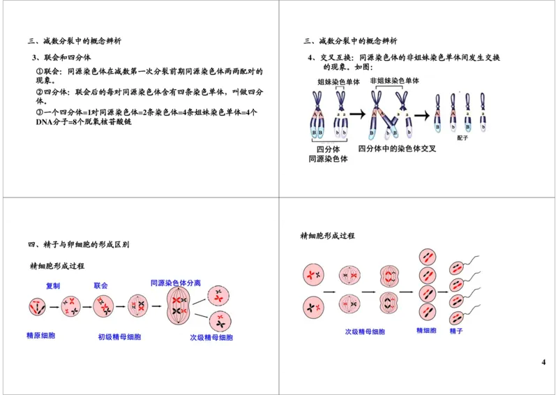 《细胞增殖-减数分裂-78d7cfeb9bfb_学而思高三全套_高三录播课程各种版本_高三一轮二轮_29709-56高考生物一轮总复习（必修+选修1、3）_第13讲：细胞增殖-减数分裂（一轮上）》第4页预览