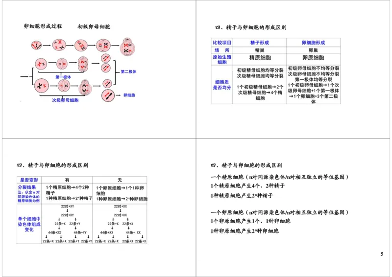 《细胞增殖-减数分裂-78d7cfeb9bfb_学而思高三全套_高三录播课程各种版本_高三一轮二轮_29709-56高考生物一轮总复习（必修+选修1、3）_第13讲：细胞增殖-减数分裂（一轮上）》第5页预览