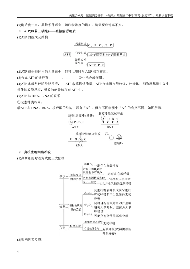 《必修1分子与细胞-8页（填空版）重点知识天天背_06-生物-高考总复习_专项复习_2025年_2025年高考生物知识清单判断题课件重点知识梳理选修必修_必修1分子与细胞》第4页预览