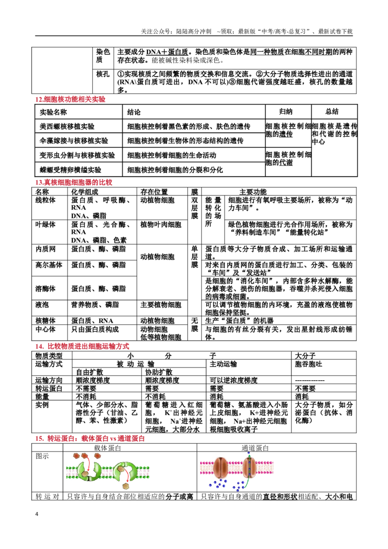 《必修1分子与细胞-_06-生物-高考总复习_专项复习_2025年_2025年高考生物必背知识速记归纳》第4页预览