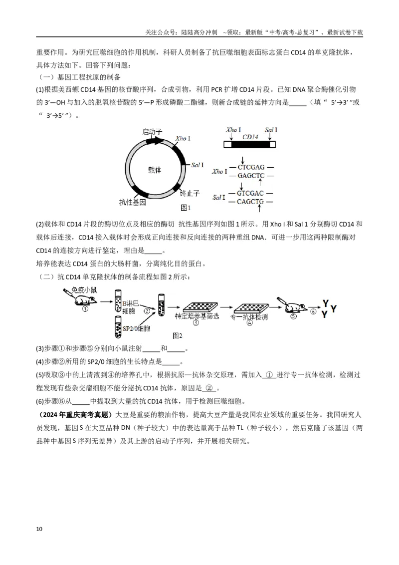 《大题05生物技术与工程类（学生版）_06-生物-高考总复习_专项复习_2025年_2025年高考生物大题突破+限时集训（福建专用）》第10页预览