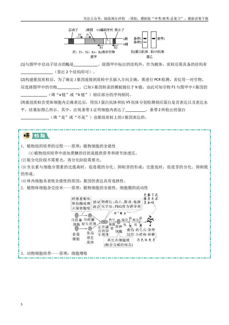 《大题05生物技术与工程类（学生版）_06-生物-高考总复习_专项复习_2025年_2025年高考生物大题突破+限时集训（福建专用）》第5页预览