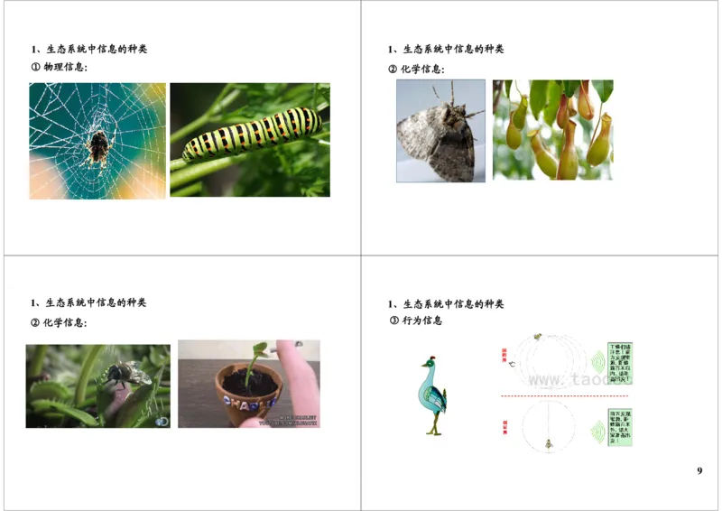 《生态系统--功能与稳定性（一轮下）-a83a7111d130_学而思高三全套_高三录播课程各种版本_高三一轮二轮_29709-56高考生物一轮总复习（必修+选修1、3）》第9页预览
