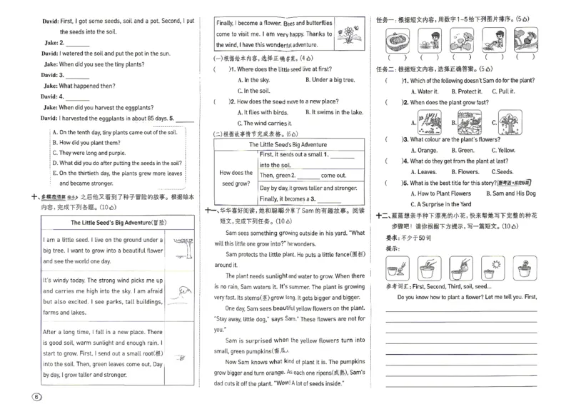 《R精通六上综合测评卷_2026秋小学《典中点》3-6上英语（人教精通版）_6上》第6页预览