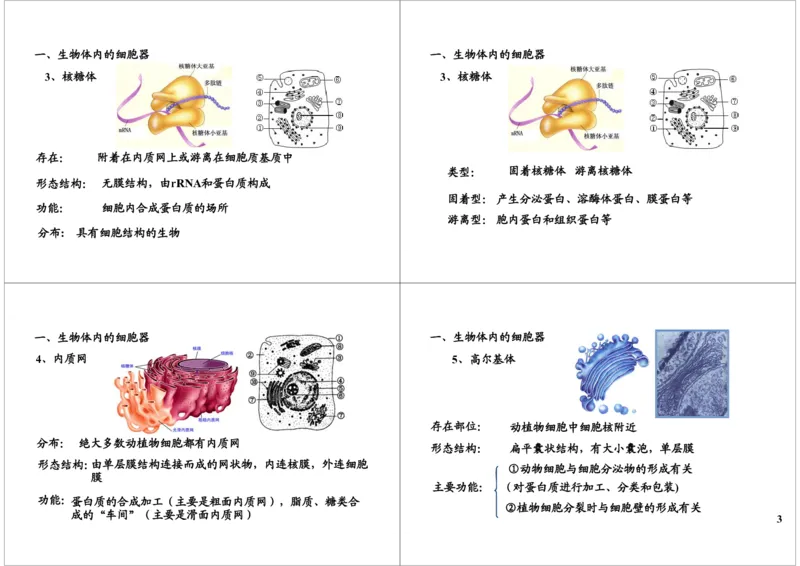 《细胞的结构与功能-细胞器的结构与功能-0be6fd926e87_学而思高三全套_高三录播课程各种版本_高三一轮二轮_29709-56高考生物一轮总复习（必修+选修1、3）》第3页预览