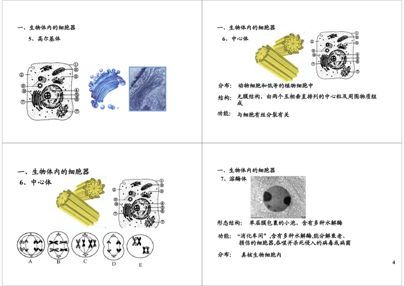 《细胞的结构与功能-细胞器的结构与功能-0be6fd926e87_学而思高三全套_高三录播课程各种版本_高三一轮二轮_29709-56高考生物一轮总复习（必修+选修1、3）》第4页预览