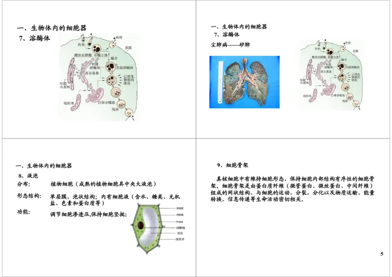 《细胞的结构与功能-细胞器的结构与功能-0be6fd926e87_学而思高三全套_高三录播课程各种版本_高三一轮二轮_29709-56高考生物一轮总复习（必修+选修1、3）》第5页预览