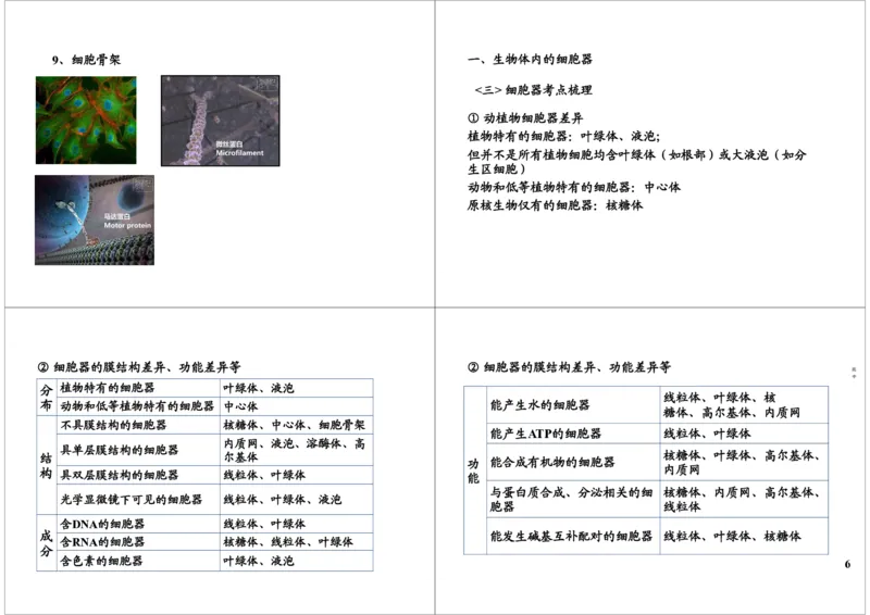 《细胞的结构与功能-细胞器的结构与功能-0be6fd926e87_学而思高三全套_高三录播课程各种版本_高三一轮二轮_29709-56高考生物一轮总复习（必修+选修1、3）》第6页预览