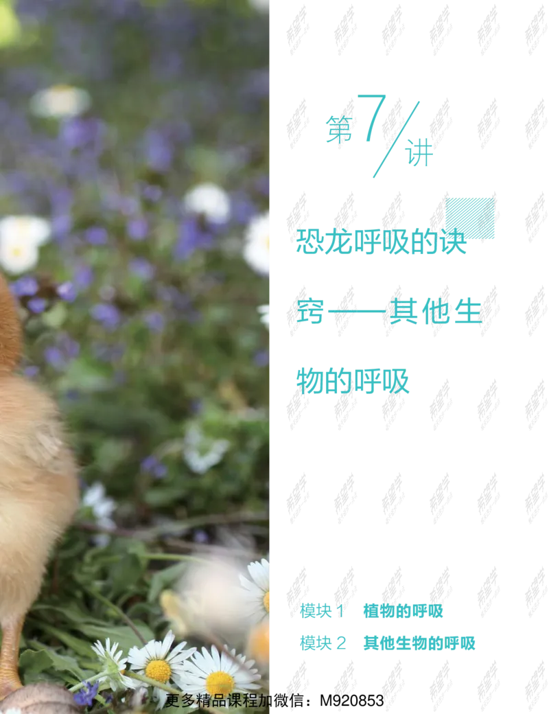 《wx_11211209447701-初一生物目标A加班-全国-讲义-正文-1645687961763-9e930ecfe5d1_学而思初中1年级_2022春初一_初一春季生物全国版A+张雨桐完结》第5页预览
