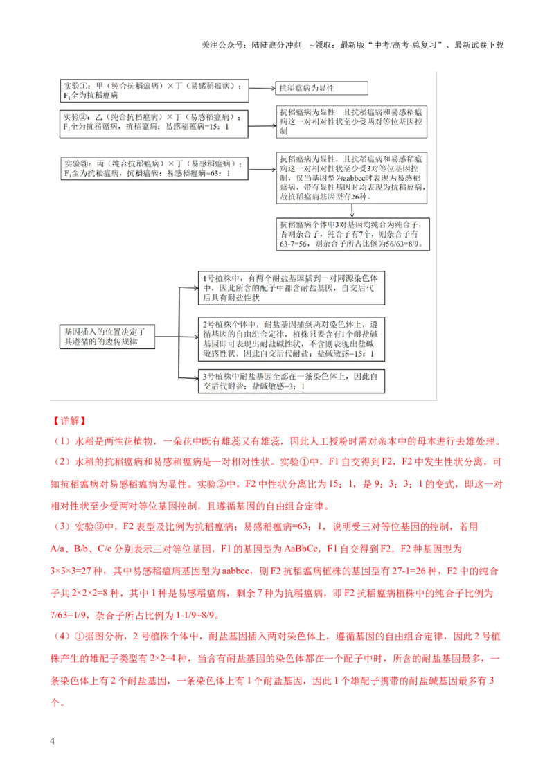 《大题02遗传规律及其应用（解析版）_06-生物-高考总复习_三轮冲刺_大题精做冲刺2025年高考生物大题突破+限时集训（新高考通用）》第4页预览