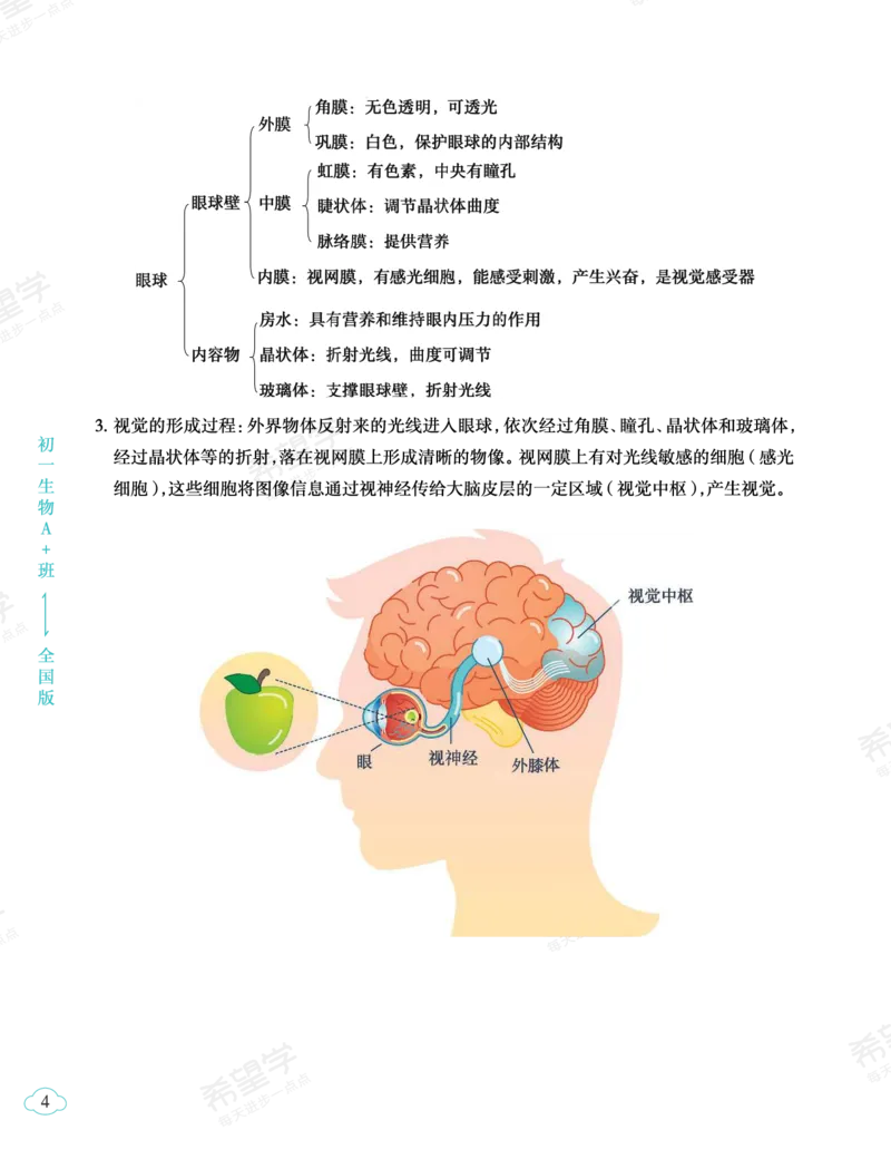 《初一生物培训班学习用书-春下-全国版A加-讲义2-正文-1dd1e5872fdb_学而思初中1年级_2024春下初一_初一生物培训班（春下·全国版·A+）_讲义及拓展资料》第8页预览