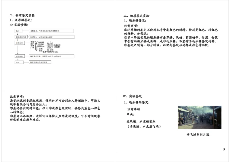 《细胞的物质基础-显微观察实验，物质鉴定实验，DN-828bf352db15_学而思高三全套_高三录播课程各种版本_高三一轮二轮_29709-56高考生物一轮总复习（必修+选修1、3）》第5页预览
