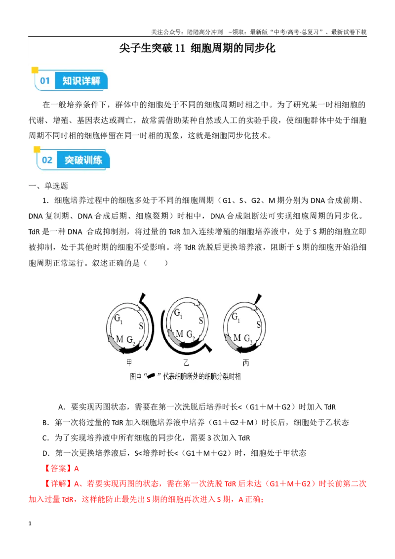 《尖子生突破11细胞周期的同步化（解析版）_06-生物-高考总复习_专项复习_2024年_2024年高考生物重难点突破精讲_资料》第1页预览