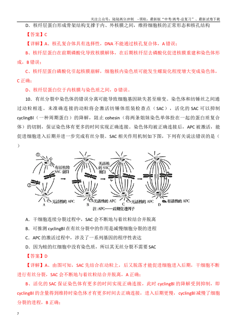 《尖子生突破11细胞周期的同步化（解析版）_06-生物-高考总复习_专项复习_2024年_2024年高考生物重难点突破精讲_资料》第7页预览