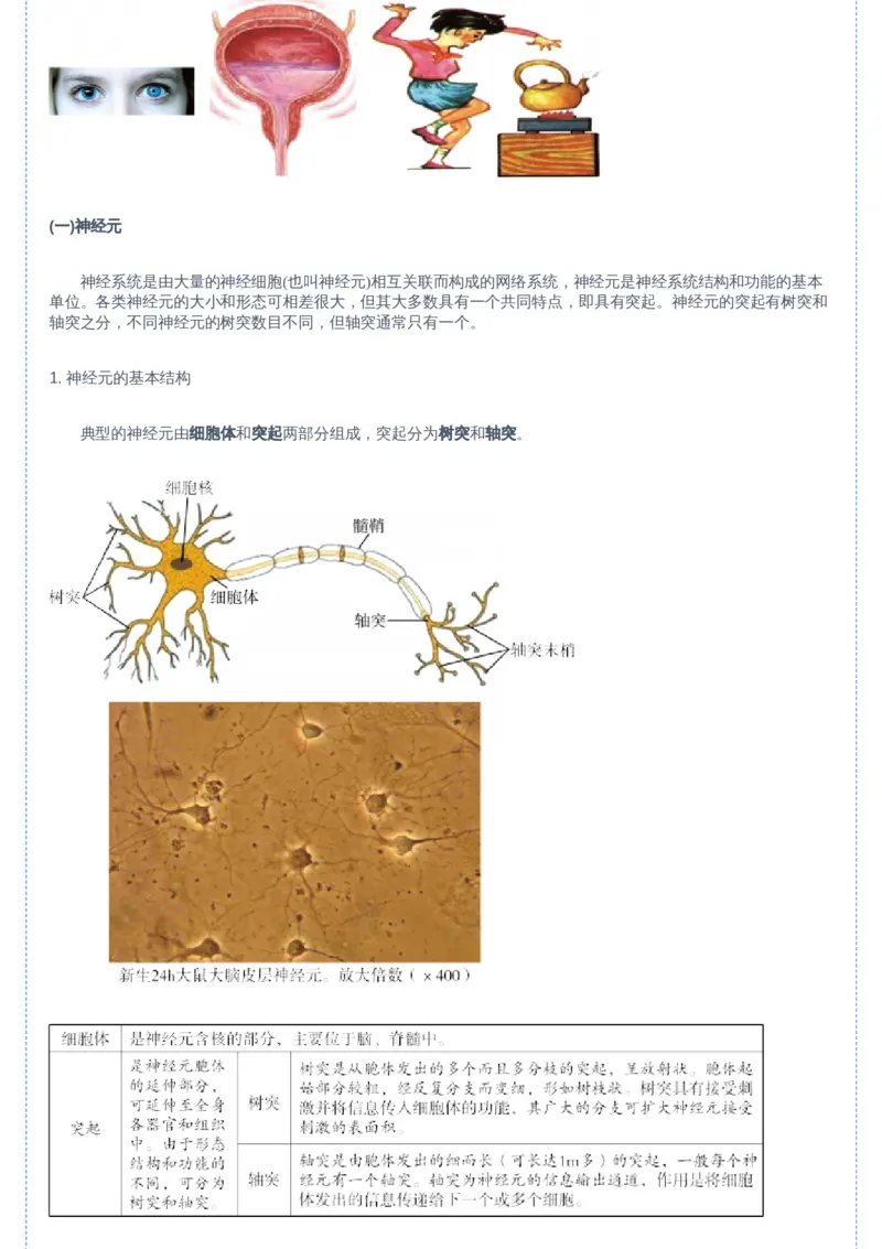 《03讲-02bf383f8f9b_学而思高二全套_2019年暑假高二(1)_高二暑生物陆魏巍_讲义》第3页预览