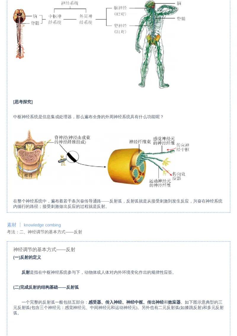 《03讲-02bf383f8f9b_学而思高二全套_2019年暑假高二(1)_高二暑生物陆魏巍_讲义》第5页预览