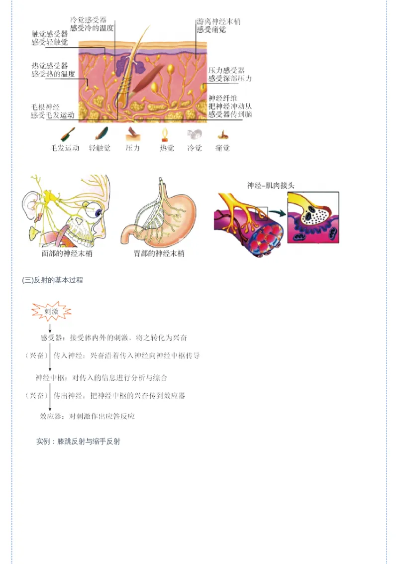 《03讲-02bf383f8f9b_学而思高二全套_2019年暑假高二(1)_高二暑生物陆魏巍_讲义》第7页预览
