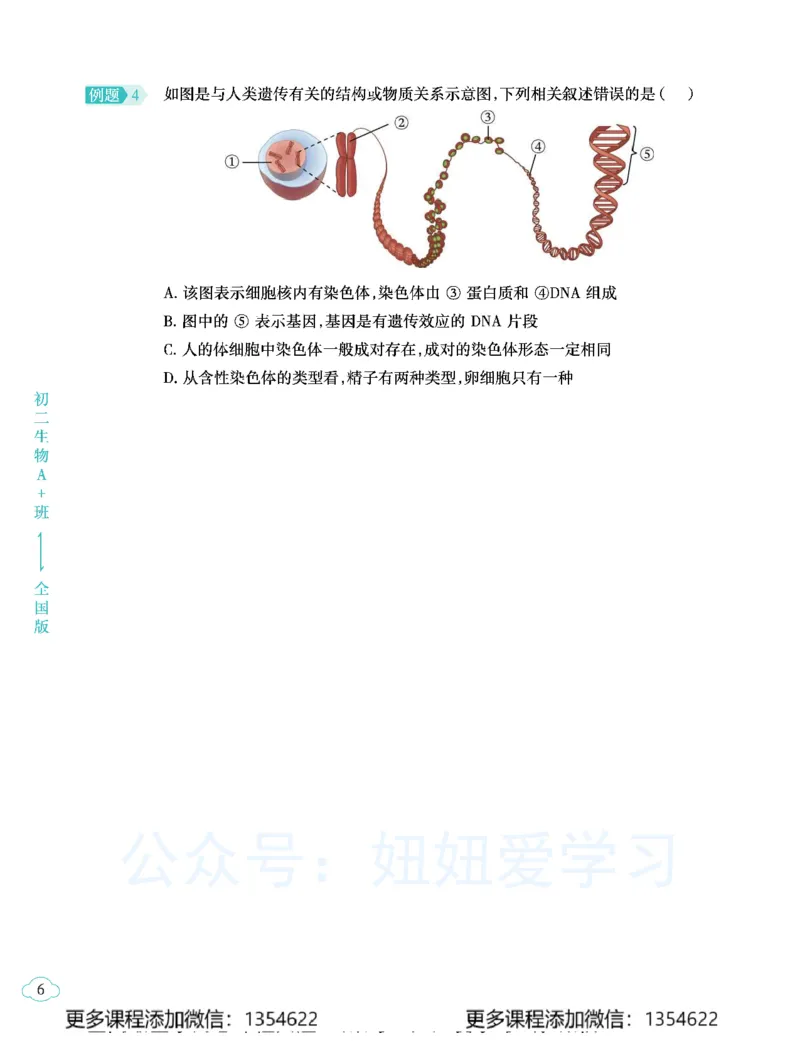 《初二生物学习用书-春下-全国版A加-讲义2_Password_Removed-6d410558803c_学而思初中2年级_2024春下初二_08.2024春下初二生物A+班张雨桐》第10页预览