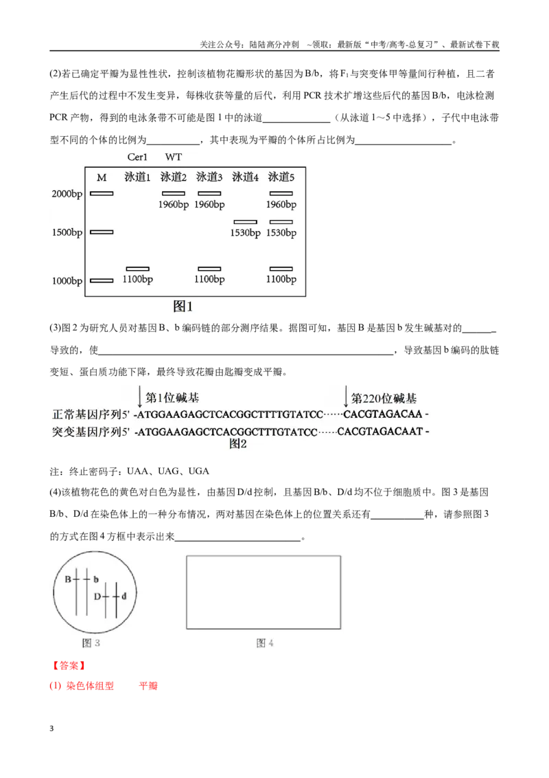 《大题预测02（教师版）_06-生物-高考总复习_专项复习_2025年_2025年高考生物大题突破+限时集训（新高考通用）》第3页预览