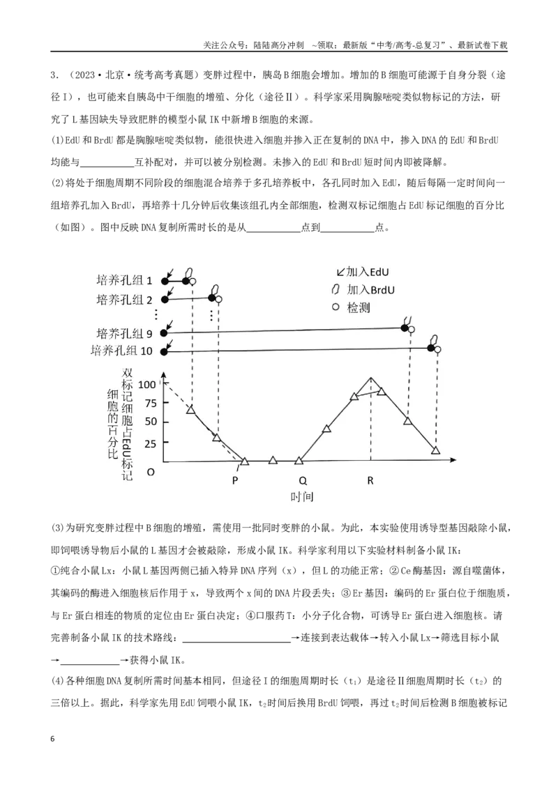 《微专题03细胞分裂的疑难问题（原卷版）_06-生物-高考总复习_二轮复习_2024年_2024高三生物高考二轮复习热点命题专题真题模拟题_资料》第6页预览