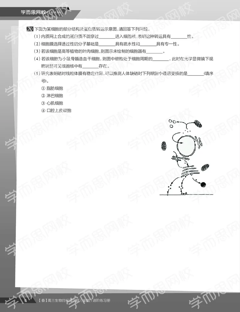 《练习册春季目标清北班高三生物2轮复习（下）直播班（全国）-b2b5eb8eab88_学而思高三全套_2020春季高三_20春季目标清北班高三生物2轮复习（全国）14讲陆巍巍》第8页预览