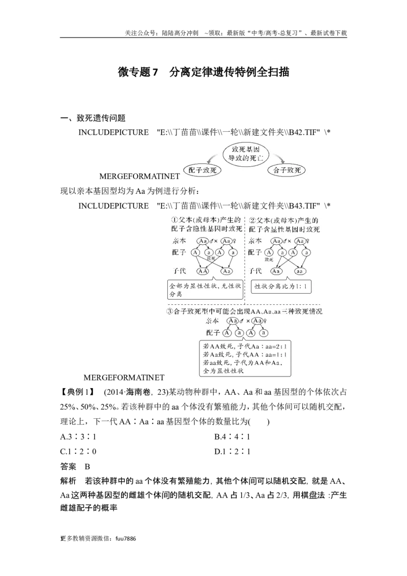 《微专题7分离定律遗传特例全扫描_06-生物-高考总复习_一轮复习_2024年_2024高考生物大一轮复习课件讲义新人教版知识总结_2024年高考生物一轮复习讲义（新人教版）_另赠1套Word版题库_必修2》第1页预览