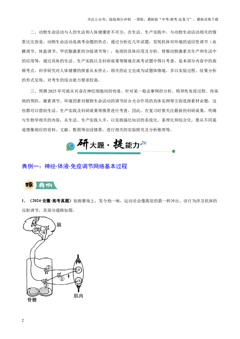 《大题03生命活动的调节（原卷版）_06-生物-高考总复习_三轮冲刺_大题精做冲刺2025年高考生物大题突破+限时集训（新高考通用）》第2页预览