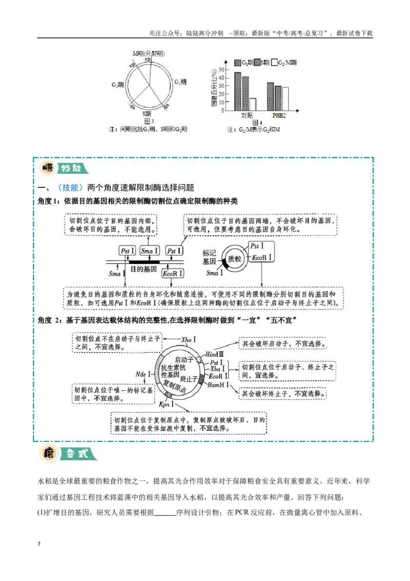 《大题05基因工程（黑吉辽蒙专用）（学生版）_06-生物-高考总复习_专项复习_2025年_2025年高考生物大题突破+限时集训（黑吉辽蒙专用）》第7页预览