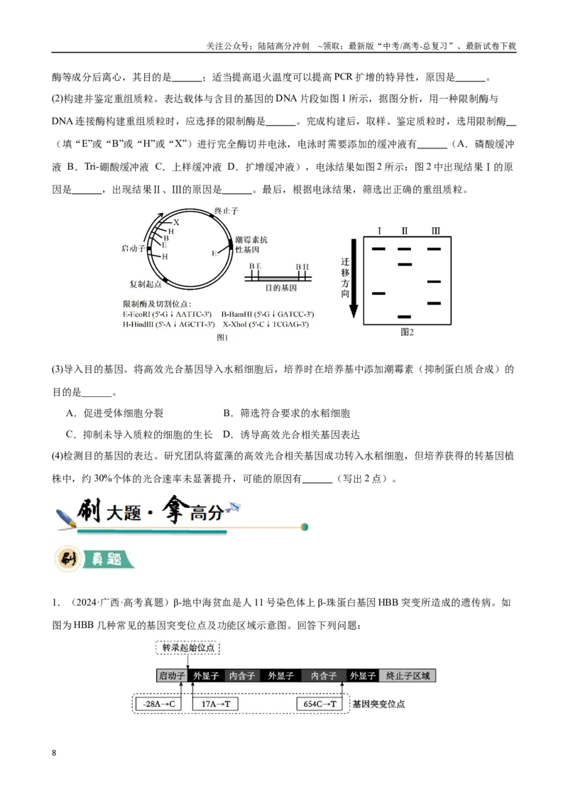 《大题05基因工程（黑吉辽蒙专用）（学生版）_06-生物-高考总复习_专项复习_2025年_2025年高考生物大题突破+限时集训（黑吉辽蒙专用）》第8页预览