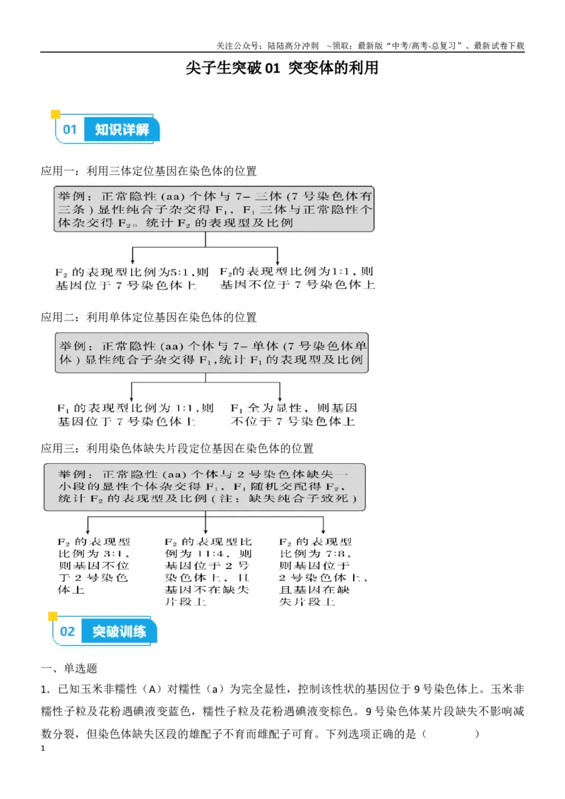 《尖子生突破01突变体的利用（原卷版）_06-生物-高考总复习_专项复习_2024年_2024年高考生物重难点突破精讲_资料》第1页预览