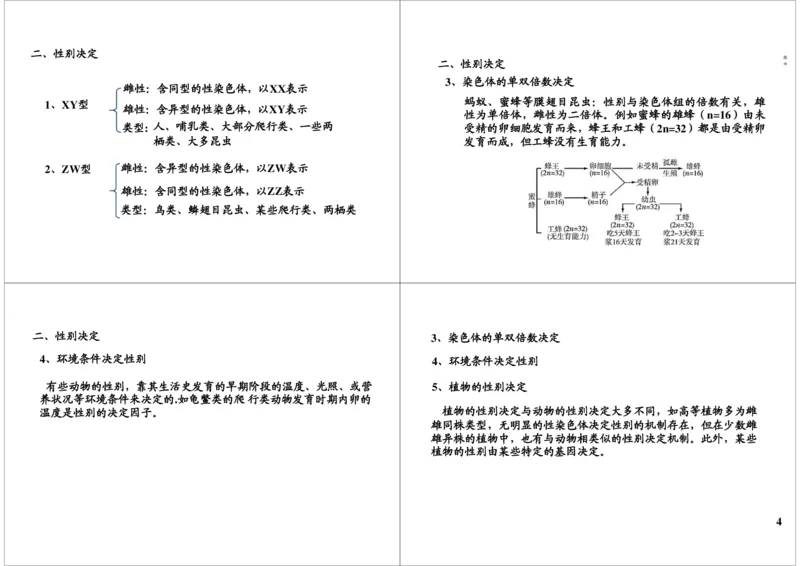 《遗传定律-伴性遗传-304881bc5ea5_学而思高三全套_高三录播课程各种版本_高三一轮二轮_29709-56高考生物一轮总复习（必修+选修1、3）_第18讲：遗传定律-伴性遗传（一轮上）》第4页预览