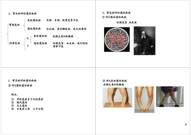 《遗传定律-伴性遗传-304881bc5ea5_学而思高三全套_高三录播课程各种版本_高三一轮二轮_29709-56高考生物一轮总复习（必修+选修1、3）_第18讲：遗传定律-伴性遗传（一轮上）》第6页预览