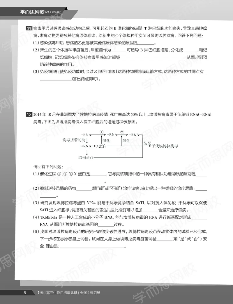 《练习册春下高三生物2轮复习（下）直播班（全国）-6c3e44f06062_学而思高三全套_2020春季高三_20春季目标清北班高三生物2轮复习（全国）14讲陆巍巍》第8页预览