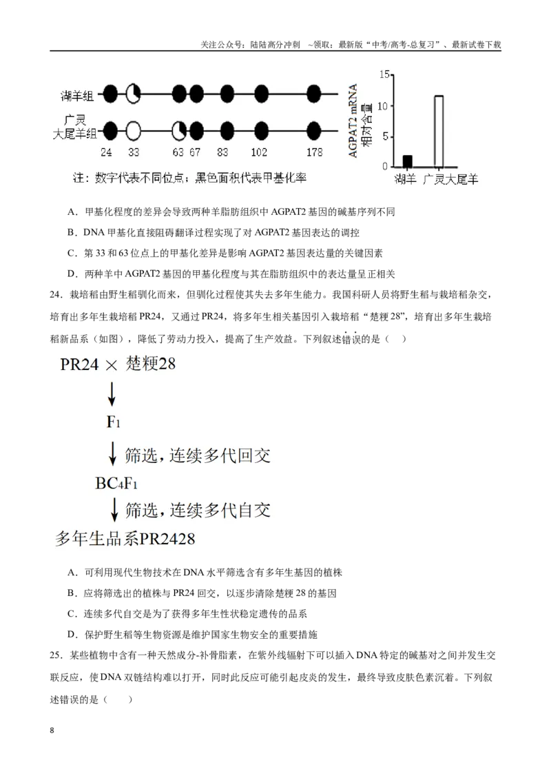 《必修2遗传与进化必刷卷03（原卷版）_06-生物-高考总复习_一轮复习_2024年_2024年高考生物一轮复习收官必刷卷（新教材新高考）_资料》第8页预览