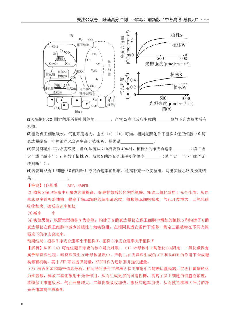 《培优专题02光呼吸、光系统及电子传递链、光系统与光抑制（高效培优讲义）（全国通用）（教师版）_06-生物-高考总复习_一轮复习_2026年-生物高考一轮复习_2026版_一轮培优提升》第8页预览