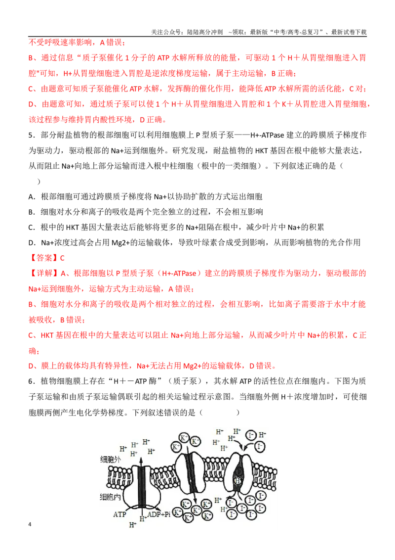 《尖子生突破04主动运输所需能量的三种来源（解析版）_06-生物-高考总复习_专项复习_2024年_2024年高考生物重难点突破精讲_资料》第4页预览