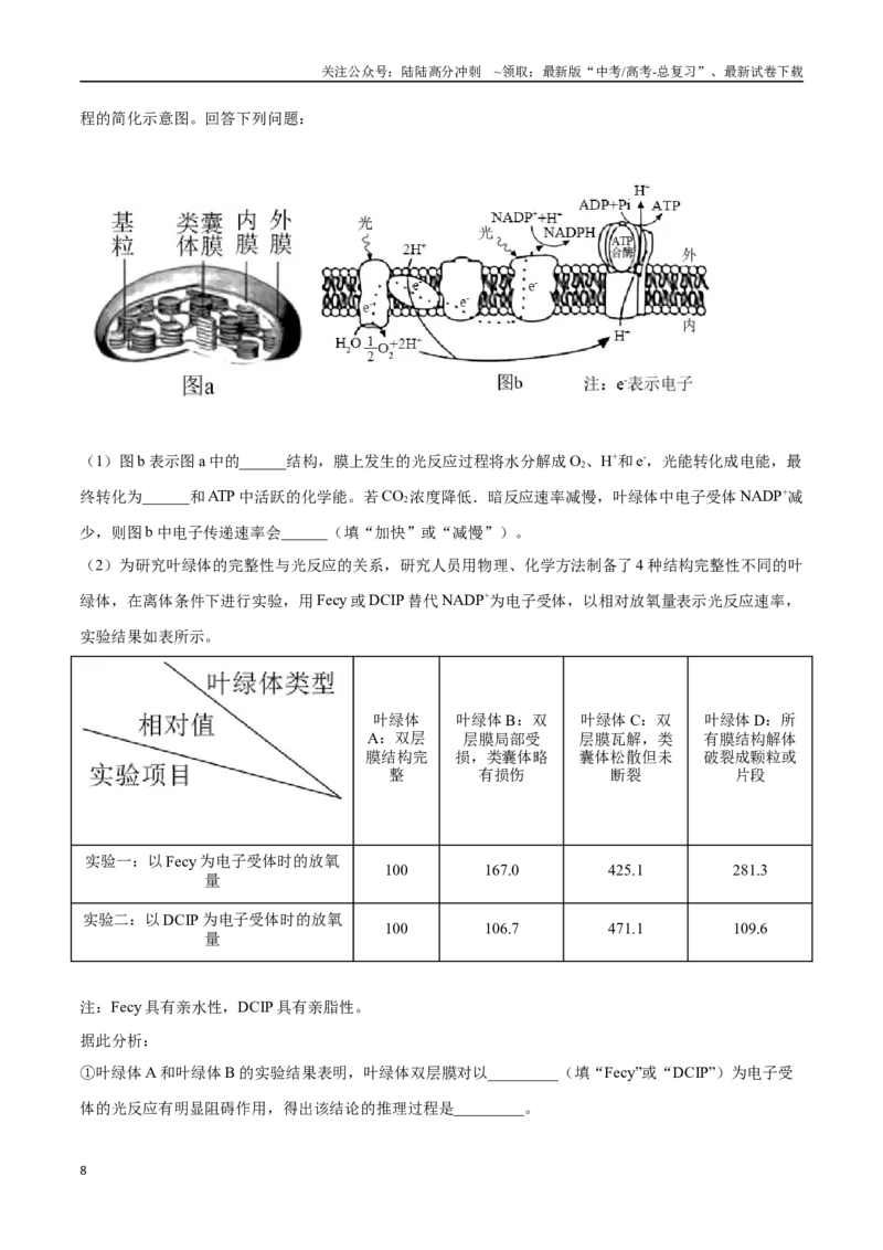 《大题01细胞代谢类（教师版）_06-生物-高考总复习_专项复习_2025年_2025年高考生物大题突破+限时集训（安徽专用）》第8页预览