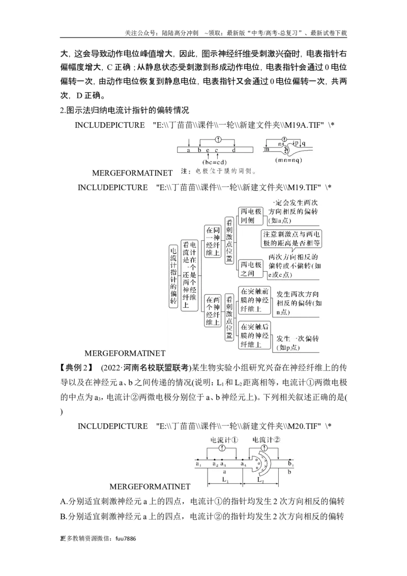 《微专题11兴奋传导与传递的相关实验探究_06-生物-高考总复习_一轮复习_2024年_2024高考生物大一轮复习课件讲义新人教版知识总结_2024年高考生物一轮复习讲义（新人教版）_另赠1套Word版题库》第2页预览