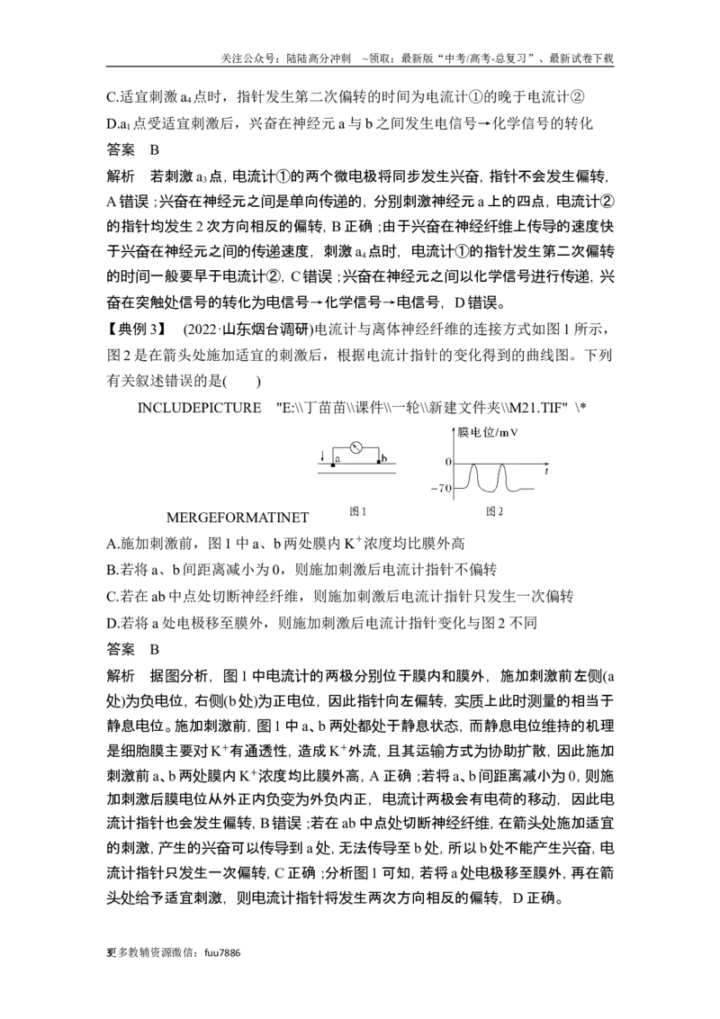 《微专题11兴奋传导与传递的相关实验探究_06-生物-高考总复习_一轮复习_2024年_2024高考生物大一轮复习课件讲义新人教版知识总结_2024年高考生物一轮复习讲义（新人教版）_另赠1套Word版题库》第3页预览