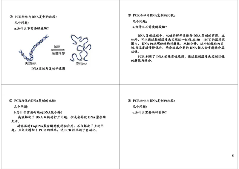 《PCR技术（一轮下）-c5b73865ba95_学而思高三全套_高三录播课程各种版本_高三一轮二轮_29709-56高考生物一轮总复习（必修+选修1、3）_第45讲：PCR技术（一轮下）》第5页预览