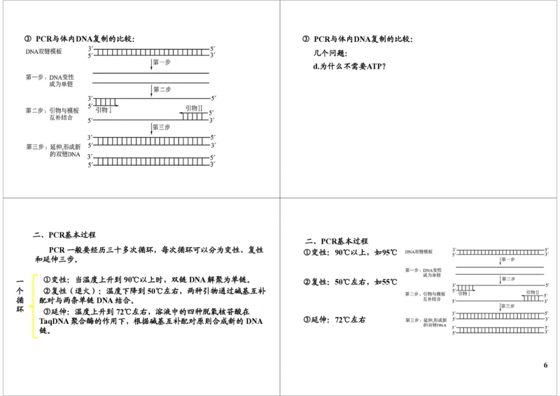 《PCR技术（一轮下）-c5b73865ba95_学而思高三全套_高三录播课程各种版本_高三一轮二轮_29709-56高考生物一轮总复习（必修+选修1、3）_第45讲：PCR技术（一轮下）》第6页预览