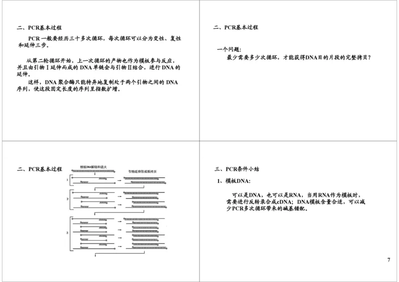 《PCR技术（一轮下）-c5b73865ba95_学而思高三全套_高三录播课程各种版本_高三一轮二轮_29709-56高考生物一轮总复习（必修+选修1、3）_第45讲：PCR技术（一轮下）》第7页预览