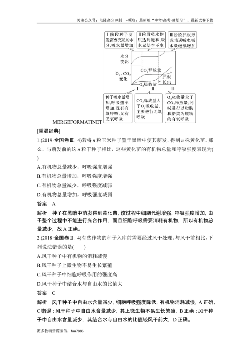 《微专题2种子形成与萌发_06-生物-高考总复习_一轮复习_2024年_2024高考生物大一轮复习课件讲义新人教版知识总结_2024年高考生物一轮复习讲义（新人教版）_另赠1套Word版题库_必修1》第2页预览
