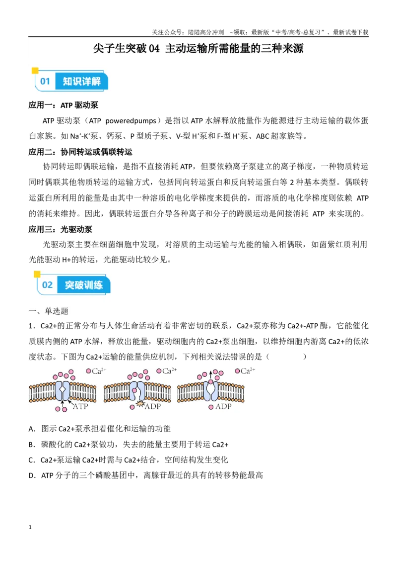 《尖子生突破04主动运输所需能量的三种来源（原卷版）_06-生物-高考总复习_专项复习_2024年_2024年高考生物重难点突破精讲_资料》第1页预览