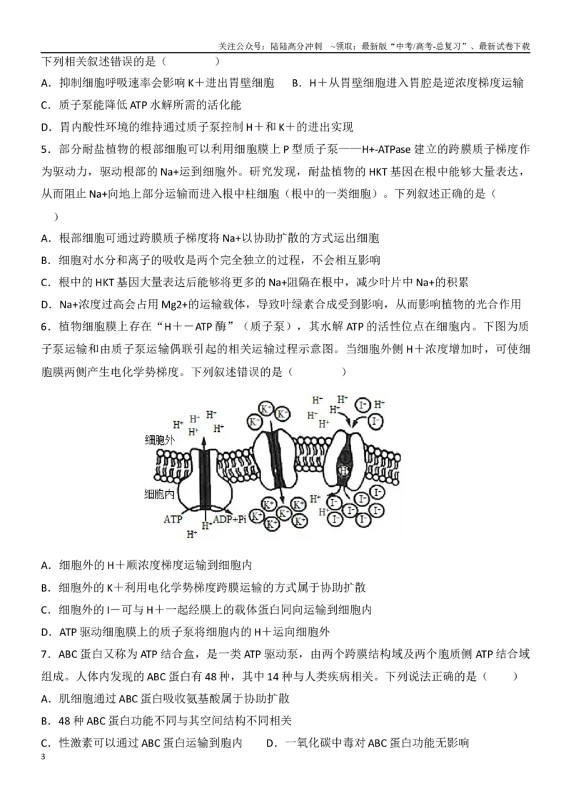 《尖子生突破04主动运输所需能量的三种来源（原卷版）_06-生物-高考总复习_专项复习_2024年_2024年高考生物重难点突破精讲_资料》第3页预览