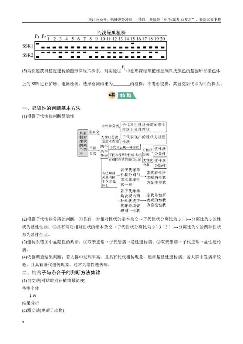 《大题02遗传规律及其应用（学生版）_06-生物-高考总复习_专项复习_2025年_2025年高考生物大题突破+限时集训（新高考通用）》第9页预览